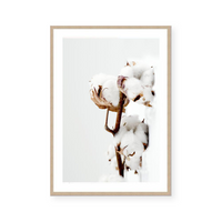 Cotton Plant | Art Print