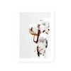 Cotton Plant | Art Print