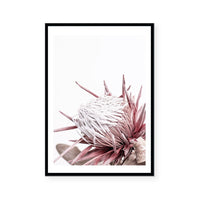 Ellen | Art Print
