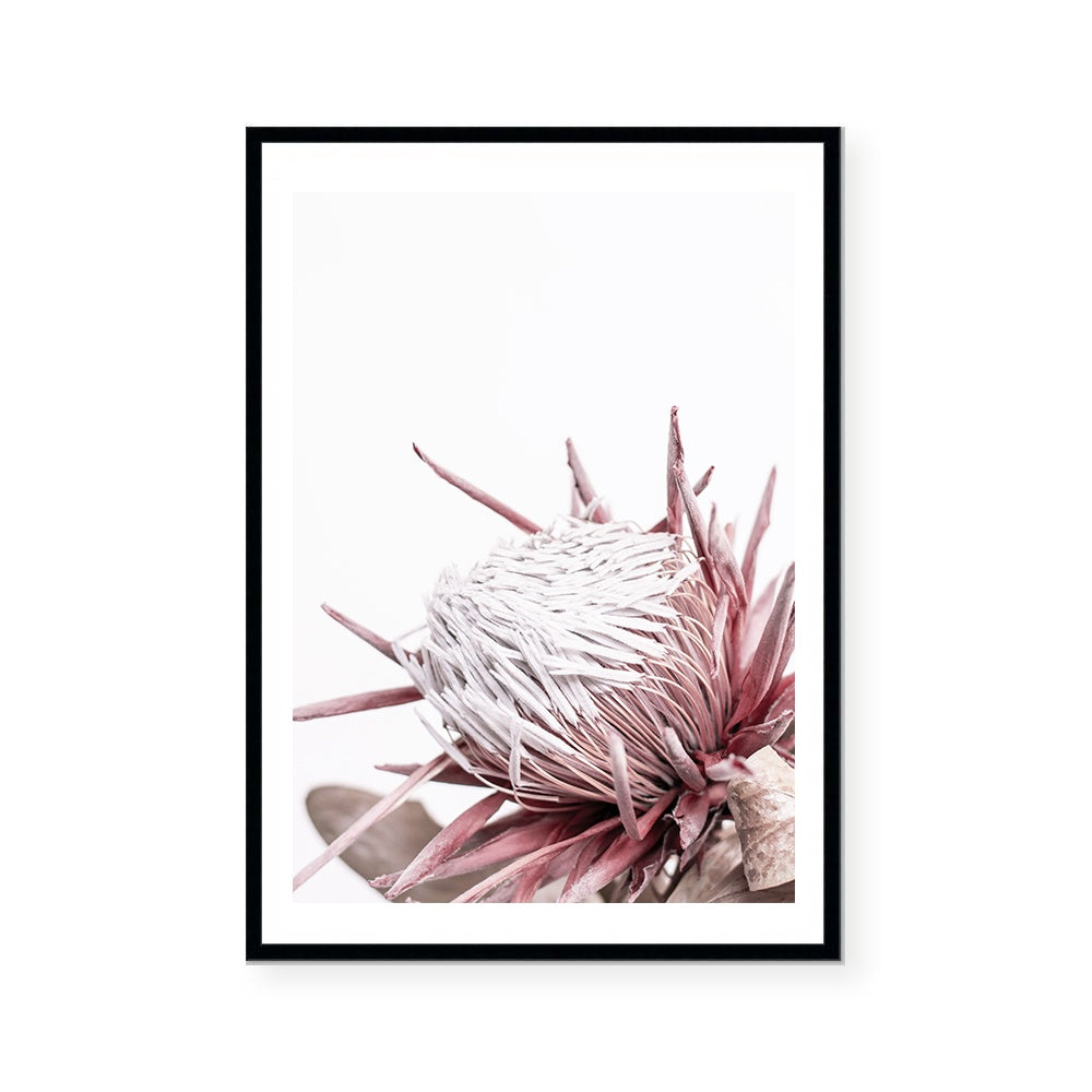 Ellen | Art Print