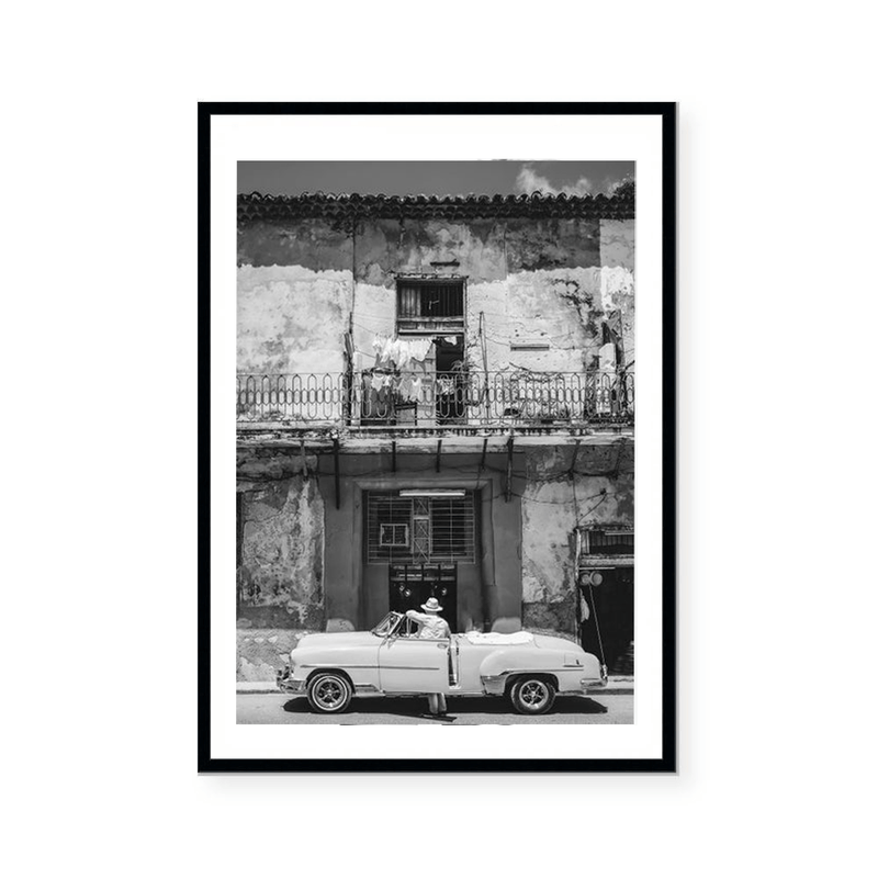 Albert | Art Print