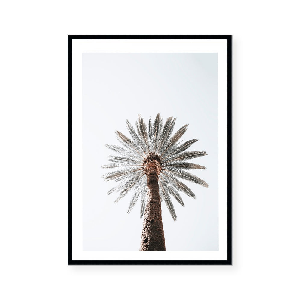 Silas | Art Print