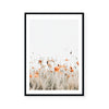 Poppies II | Art Print