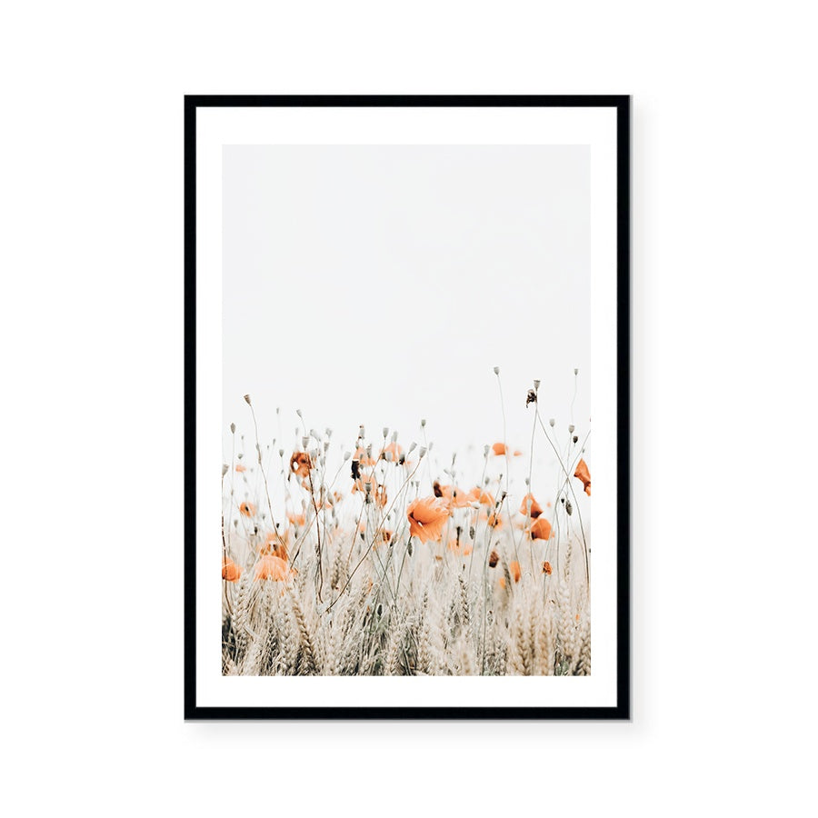 Poppies II | Art Print
