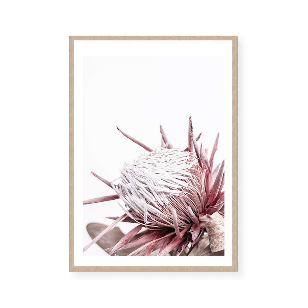 Ellen | Art Print