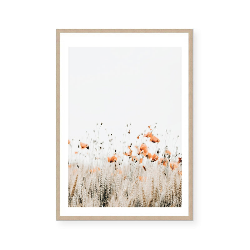 Poppies I | Art Print
