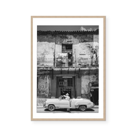 Albert | Art Print