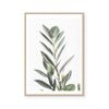 Lawrie | Art Print