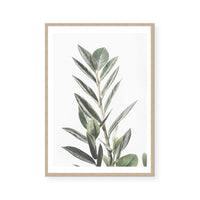 Lawrie | Art Print