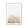 Poppies II | Art Print