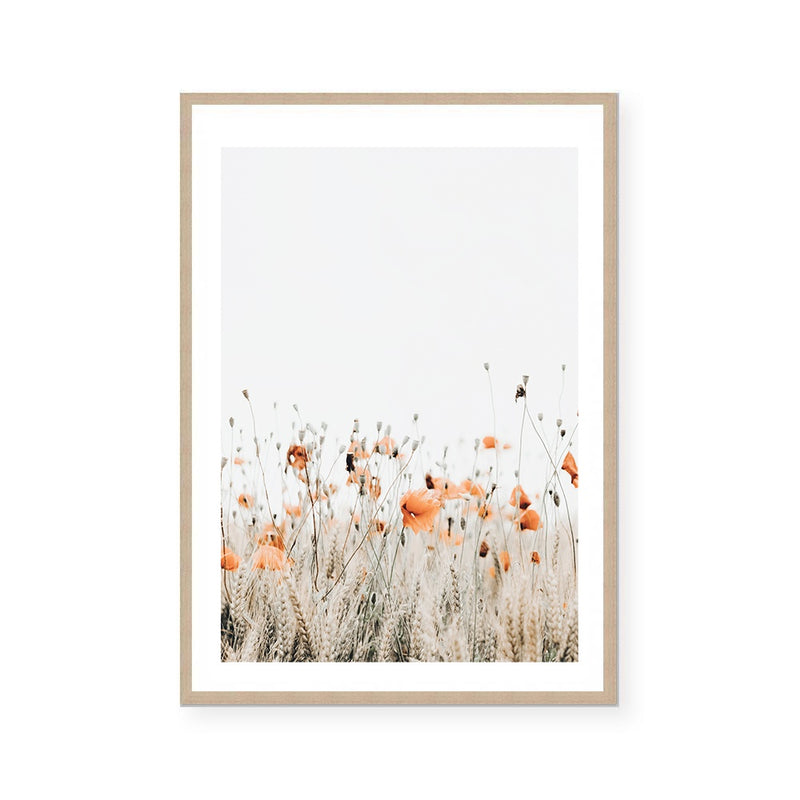Poppies II | Art Print