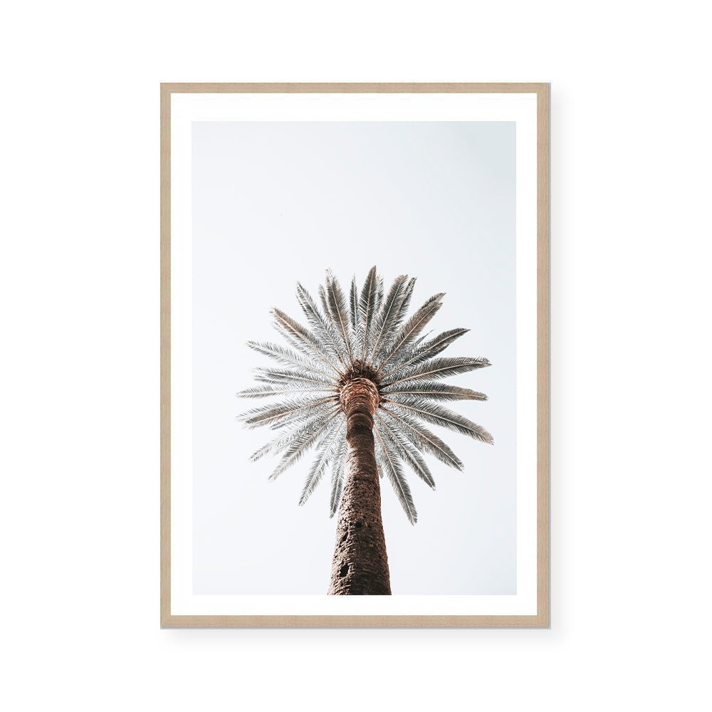 Silas | Art Print