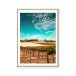 Australian Vineyard | Art Print