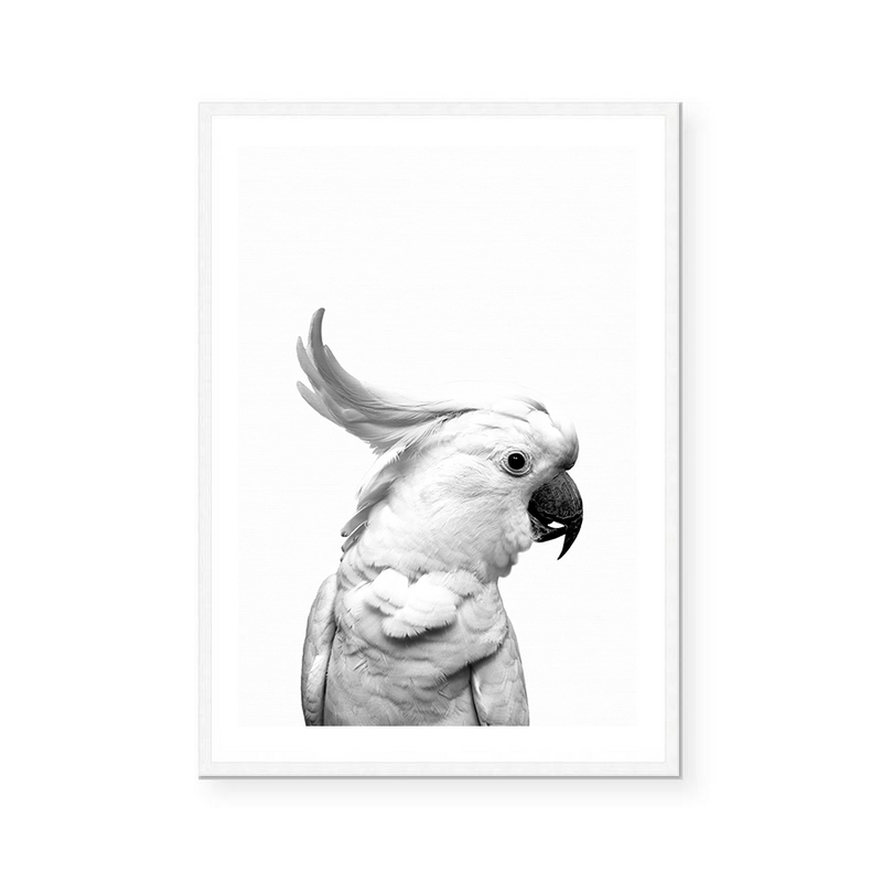 Cockatoo | Art Print