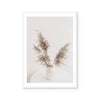 Lina | Art Print