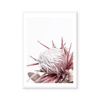 Ellen | Art Print