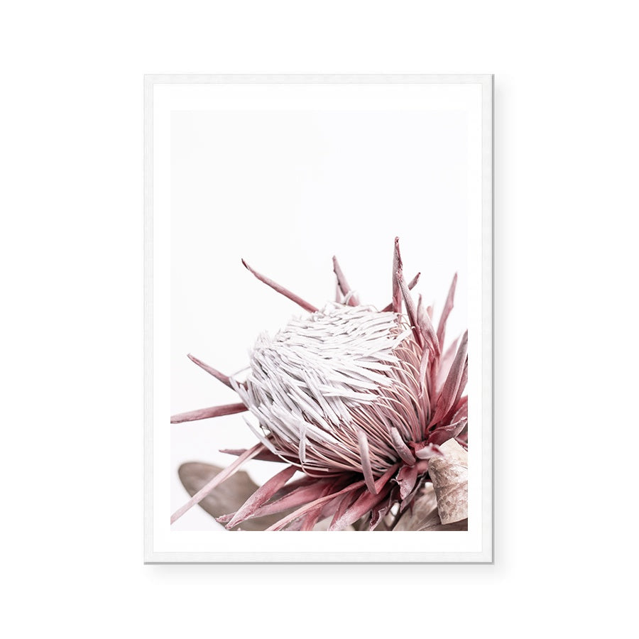 Ellen | Art Print