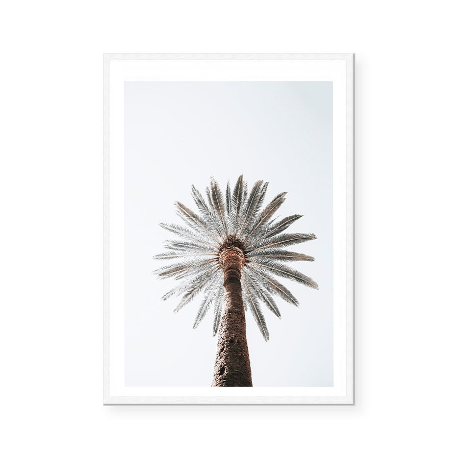 Silas | Art Print
