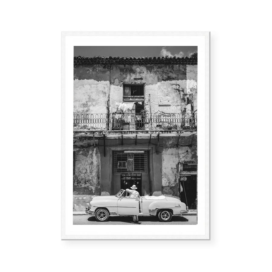 Albert | Art Print