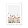 Poppies II | Art Print