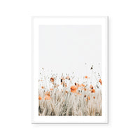 Poppies II | Art Print