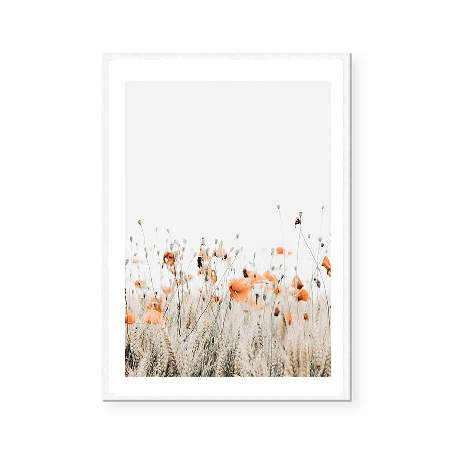 Poppies II | Art Print