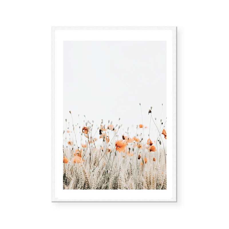 Poppies II | Art Print