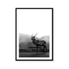 Deer | Art Print