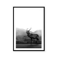 Deer | Art Print