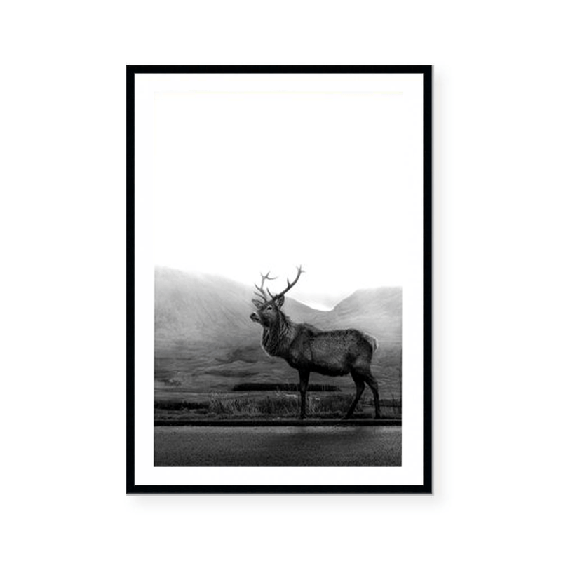 Deer | Art Print