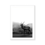Deer | Art Print