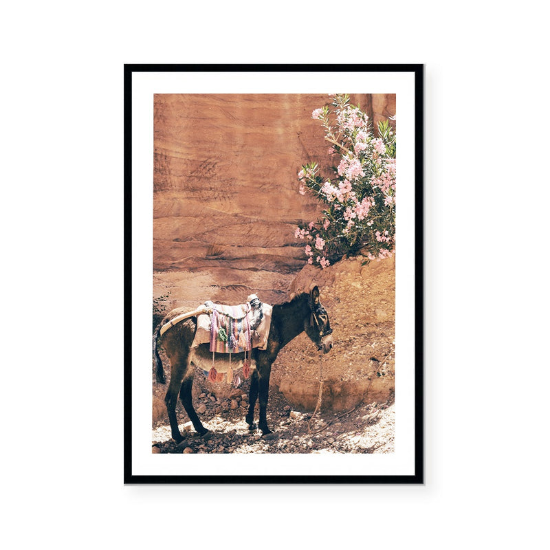 Donkey | Art Print