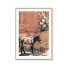 Donkey | Art Print