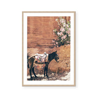 Donkey | Art Print