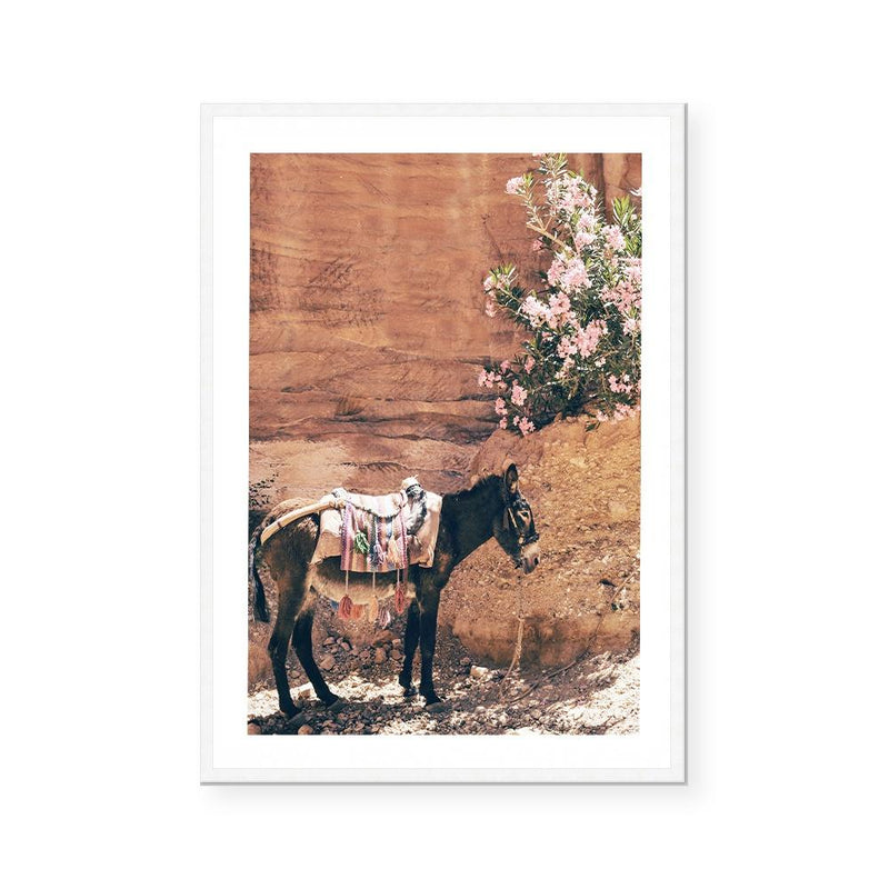 Donkey | Art Print