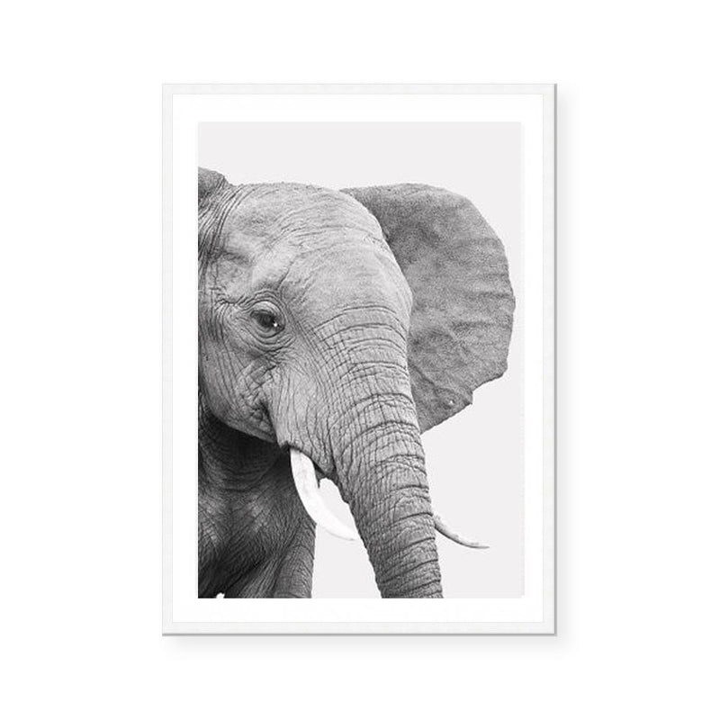 Elephant | Art Print