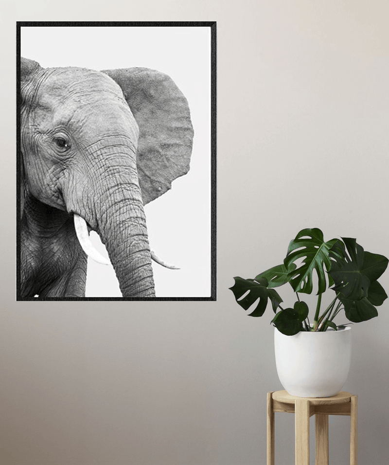 1 - ELEPHANT