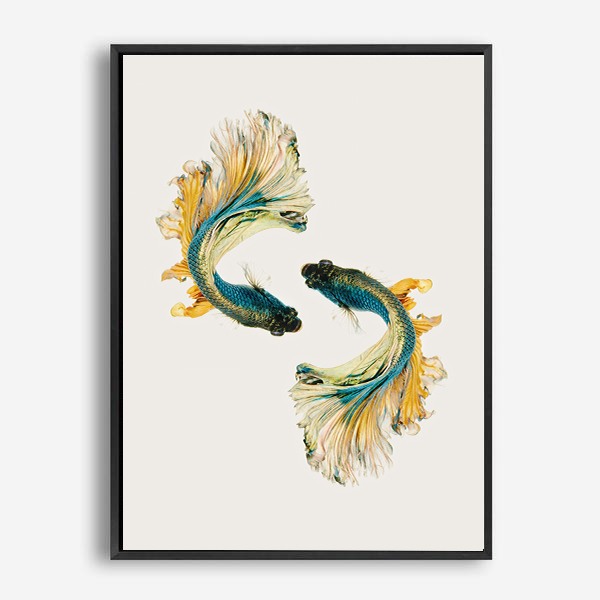 Fishes | Canvas Print