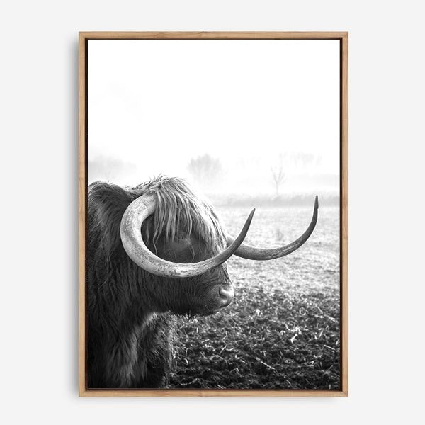 Highland Cow | Canvas Print