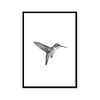 Hummingbird | Art Print