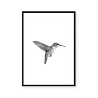 Hummingbird | Art Print