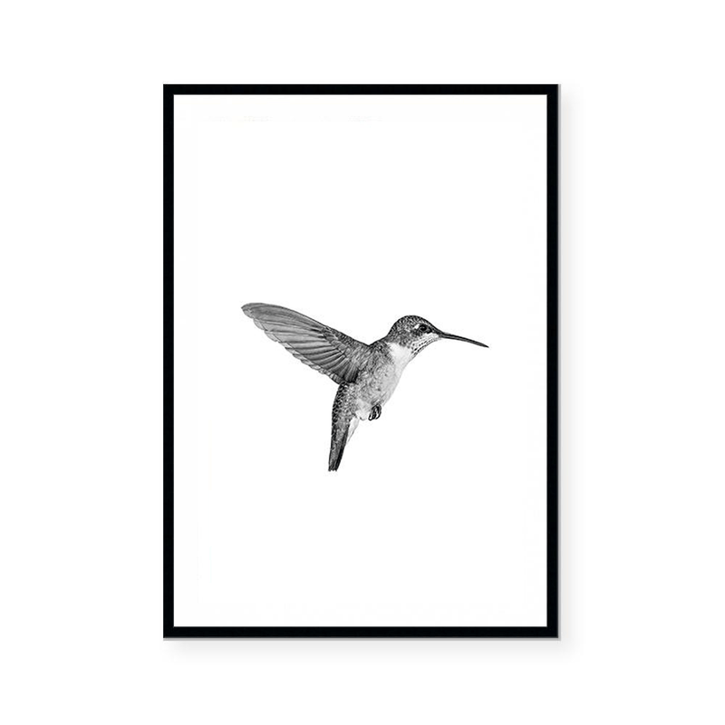 Hummingbird | Art Print