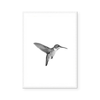 Hummingbird | Art Print