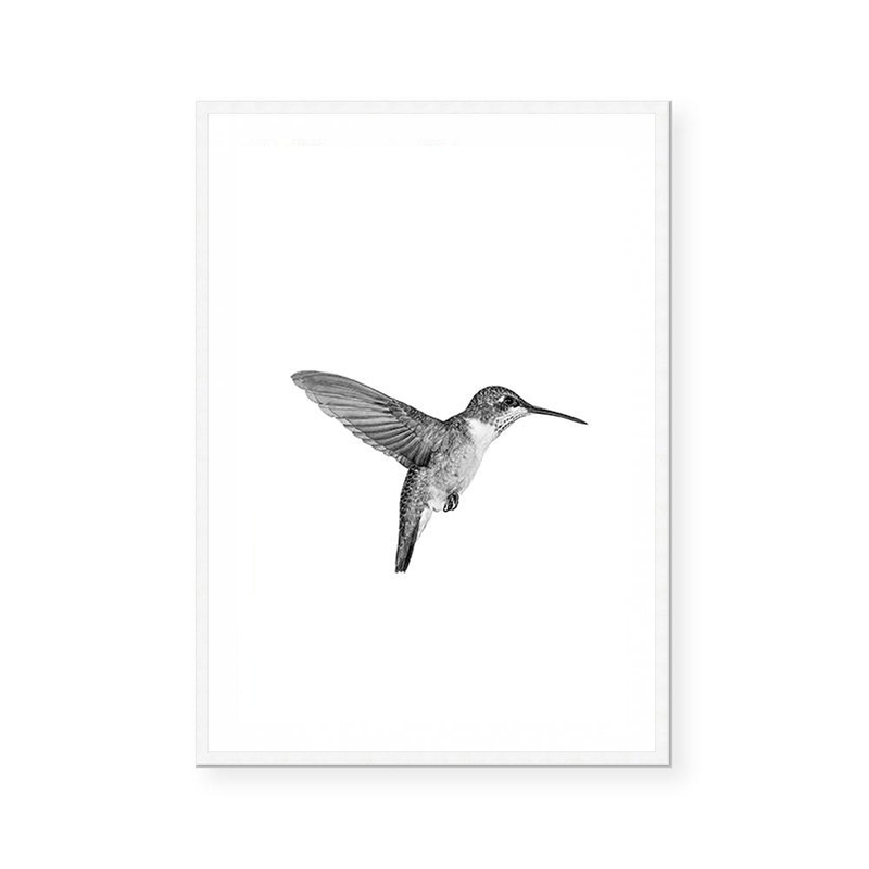 Hummingbird | Art Print