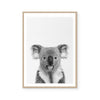 Koala | Art Print