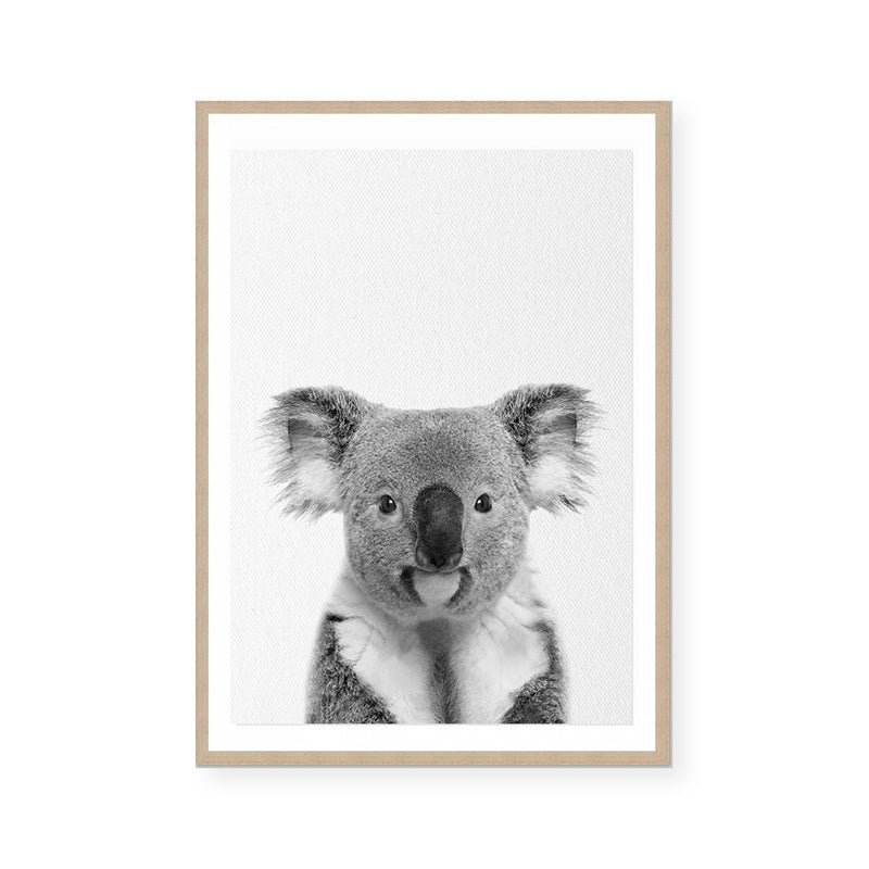 Koala | Art Print