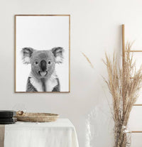 Koala | Art Print