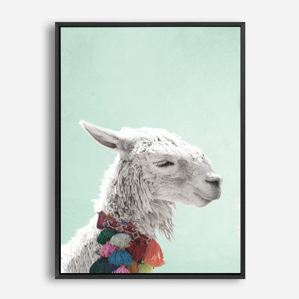 Llama | Canvas Print