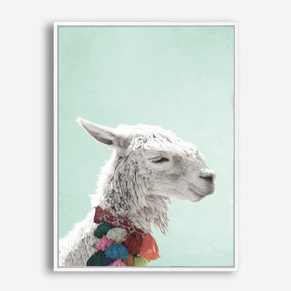 Llama | Canvas Print