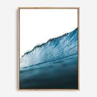 1 - MAXIMUS CANVAS